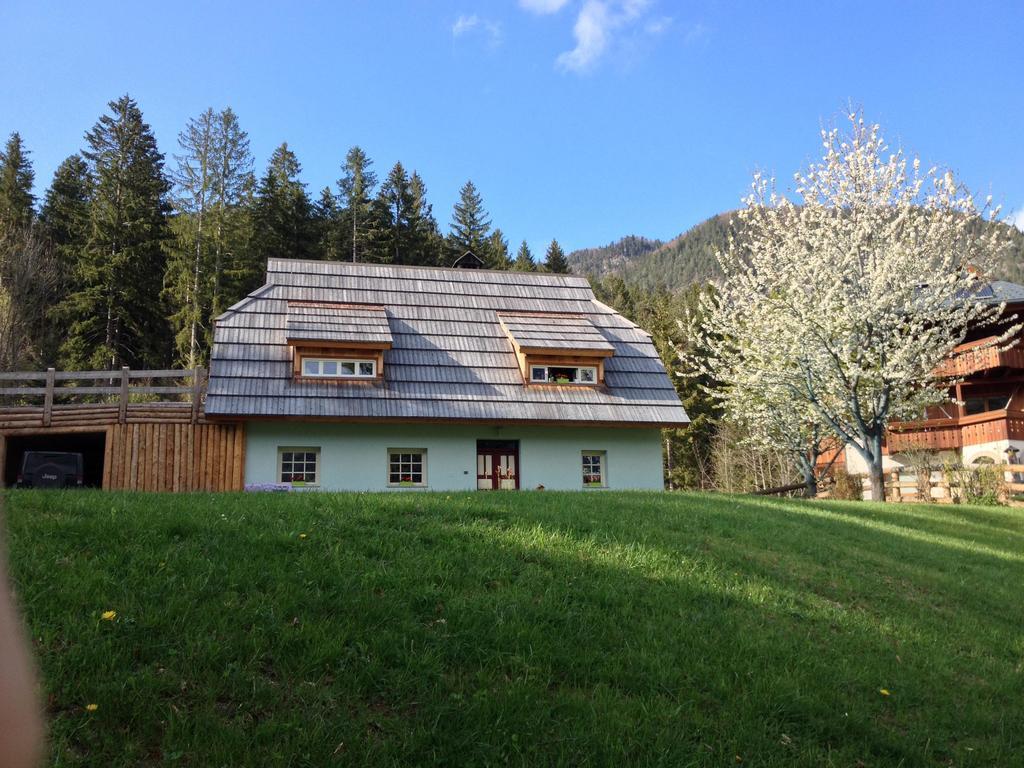 La Lince Lodge Camporosso  Exterior foto