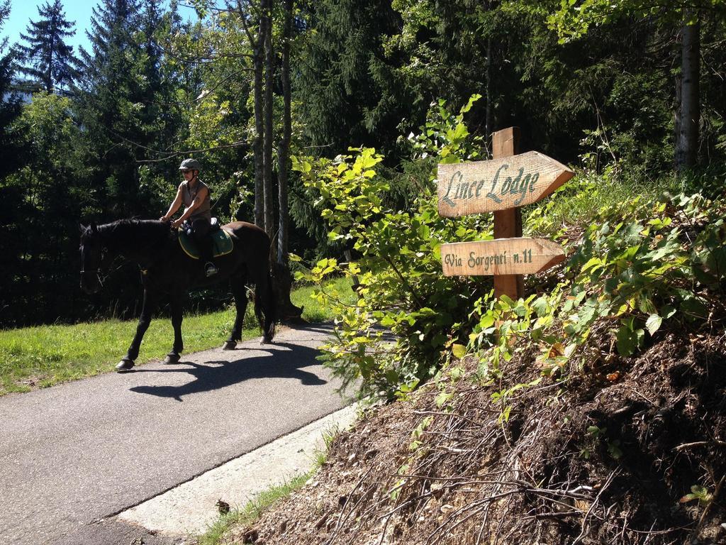 La Lince Lodge Camporosso  Exterior foto