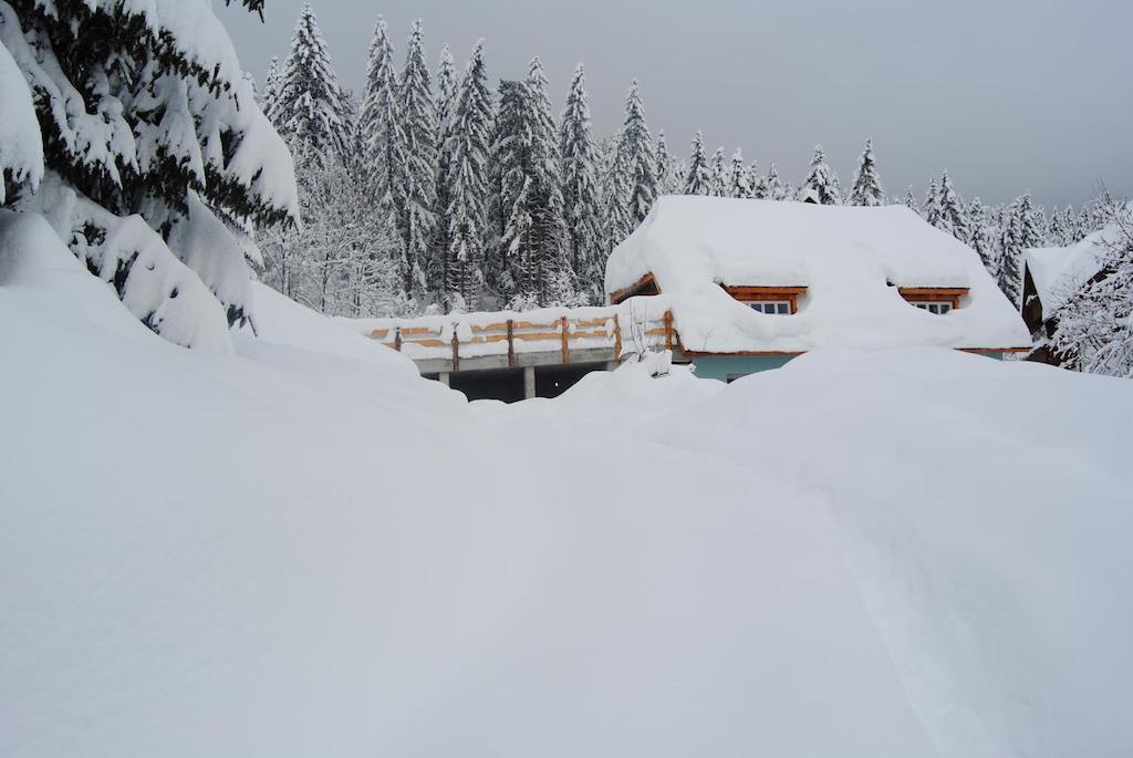 La Lince Lodge Camporosso  Exterior foto